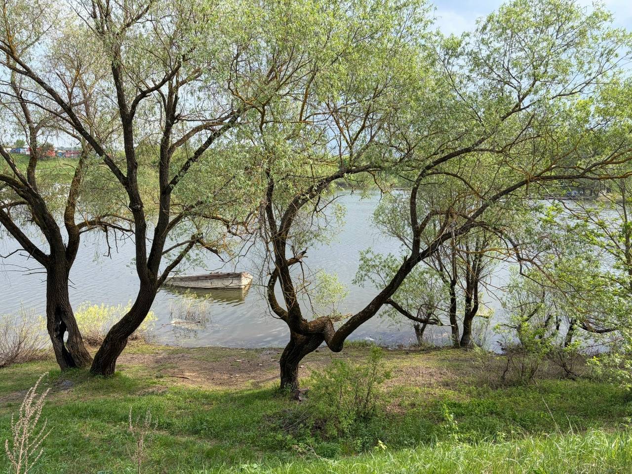 Ступинский филиал МАИ – участник экологического арт- воскресника